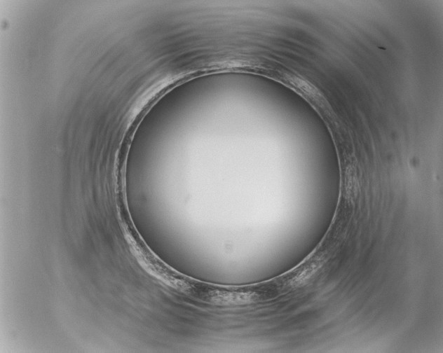 X0000055511039200508262135