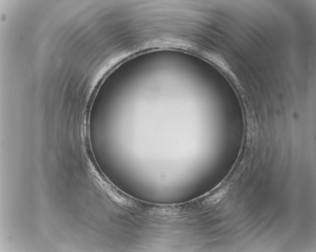 X0000055511040200508262135