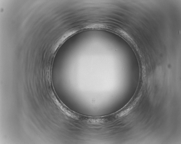 X0000055511041200508262135