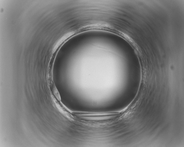 X0000055511042200508262135