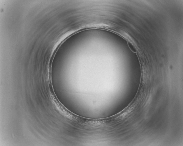 X0000055511044200508262135