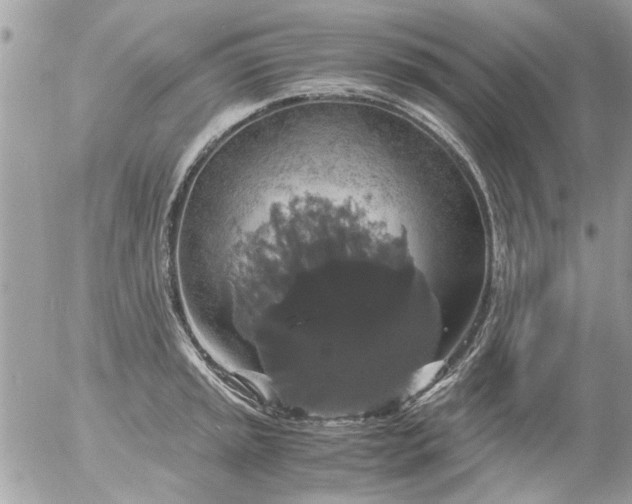 X0000055511045200508262135