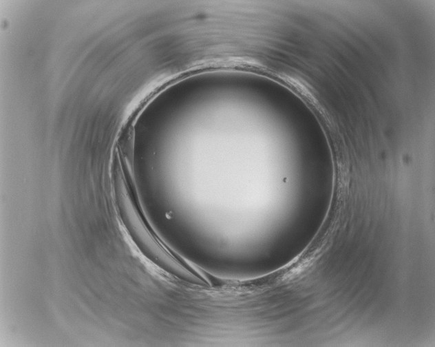 X0000055511046200508262135