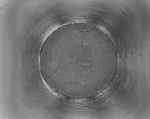 X0000055511047200508262135