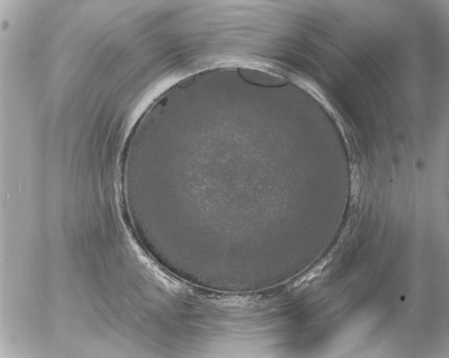 X0000055511048200508262135