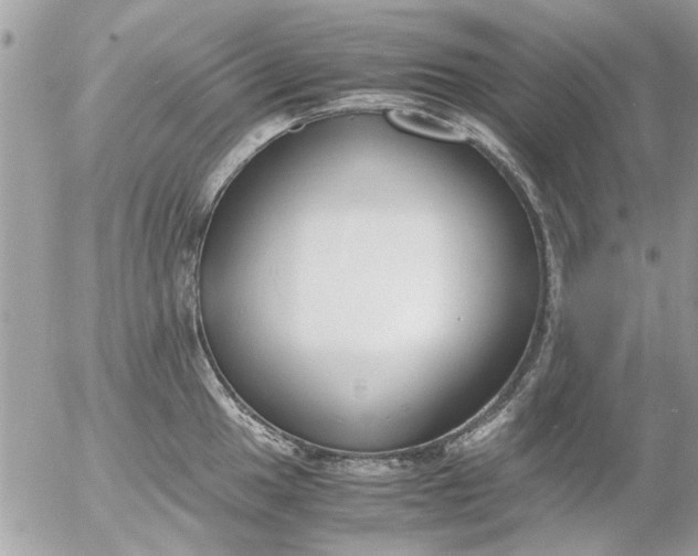 X0000055511049200508262135