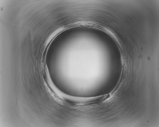 X0000055511050200508262135