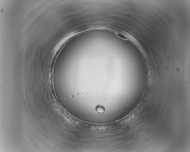 X0000055511051200508262135