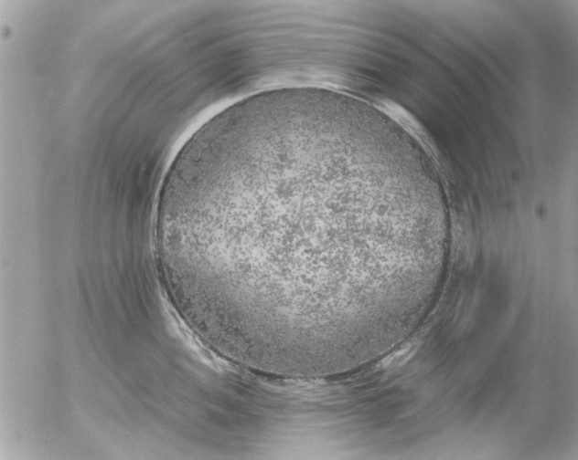 X0000055511052200508262135