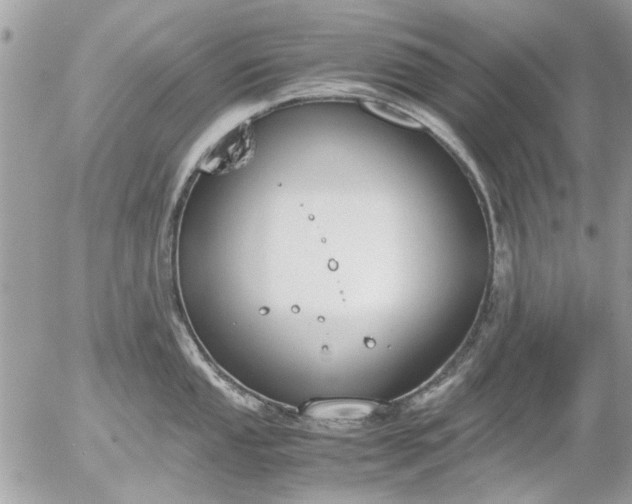 X0000055511053200508262135