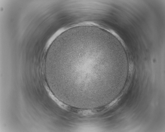 X0000055511054200508262135