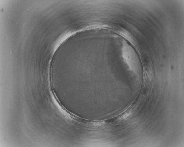 X0000055511055200508262135