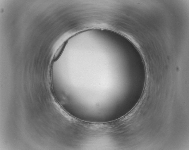 X0000055511056200508262135