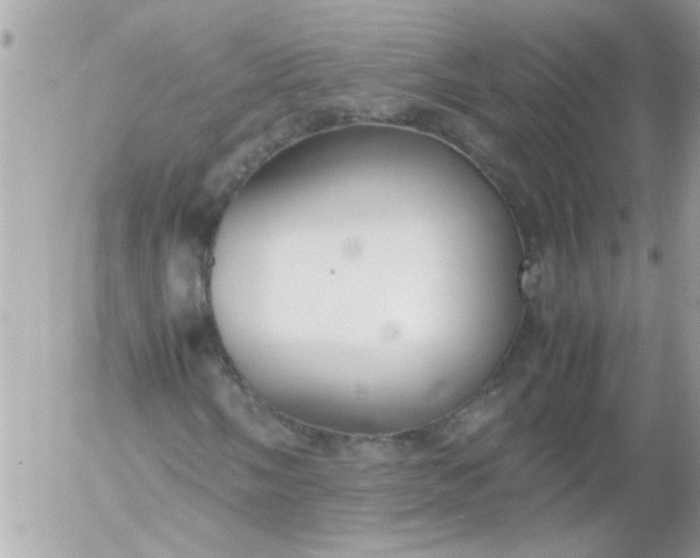 X0000055511058200508262134