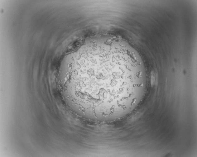 X0000055511059200508262134