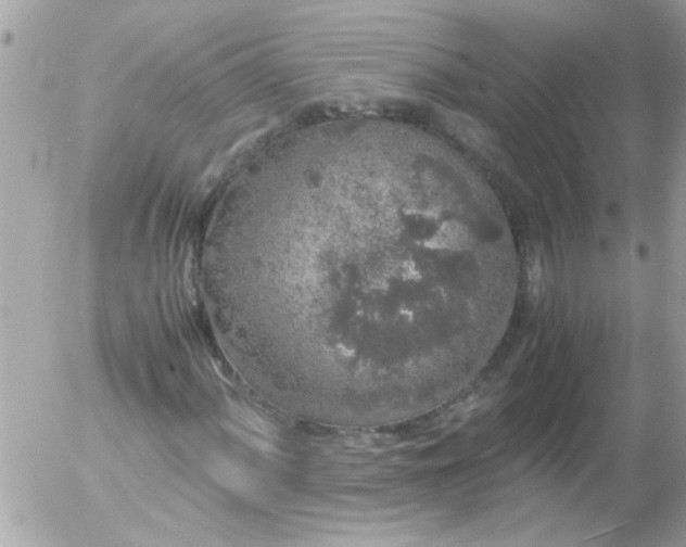 X0000055511060200508262134