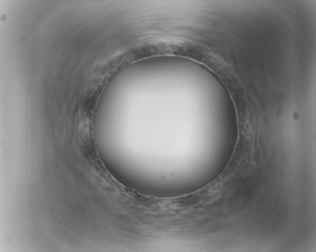 X0000055511061200508262134