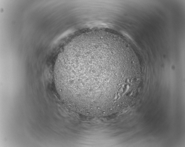 X0000055511063200508262134