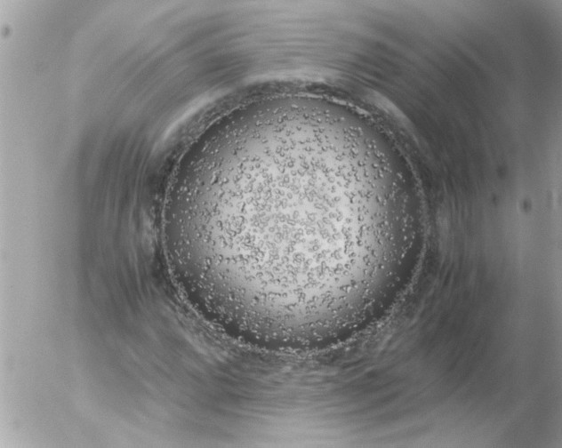 X0000055511064200508262134