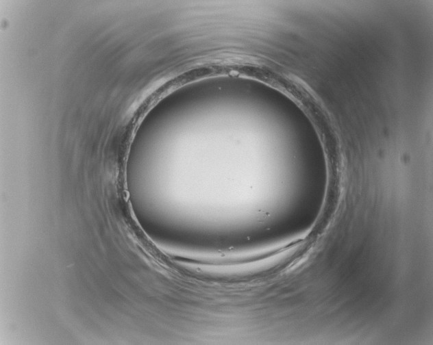 X0000055511065200508262134