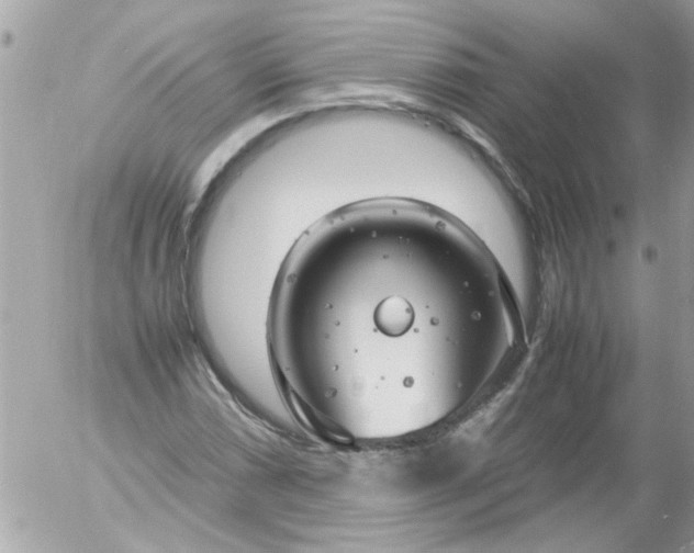 X0000055511066200508262134