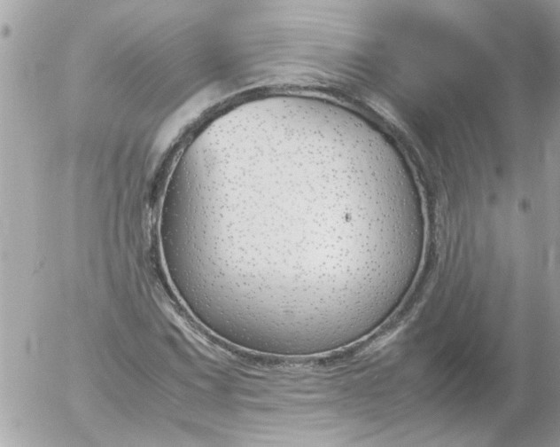 X0000055511067200508262134