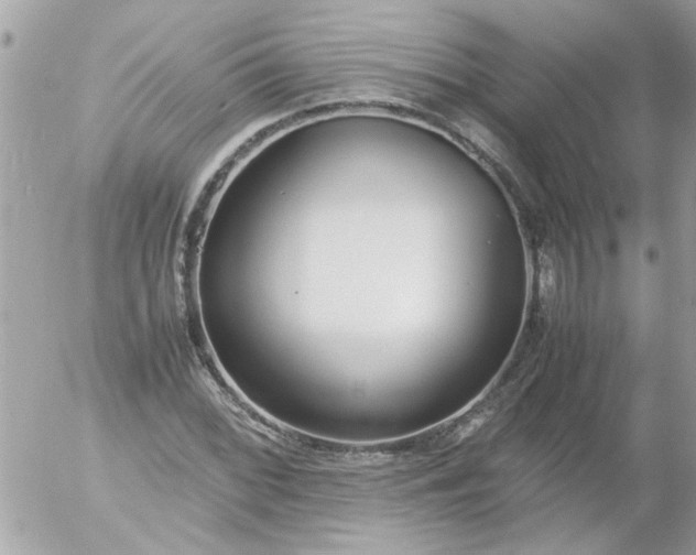 X0000055511068200508262134