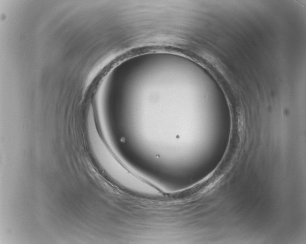 X0000055511069200508262134