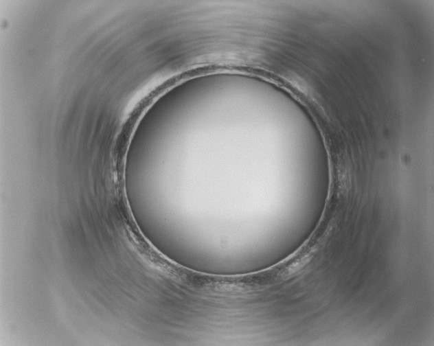 X0000055511070200508262134