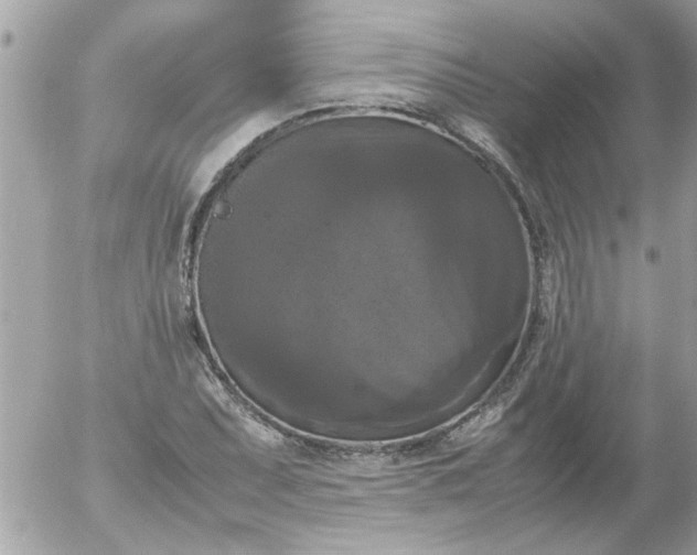 X0000055511071200508262134