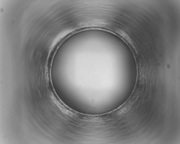 X0000055511072200508262134