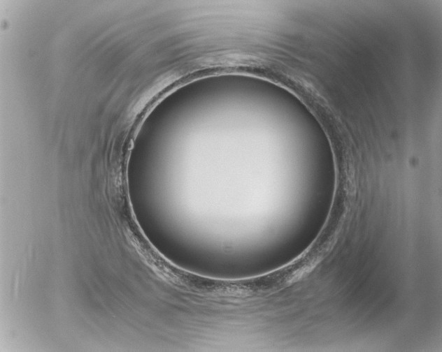 X0000055511073200508262134