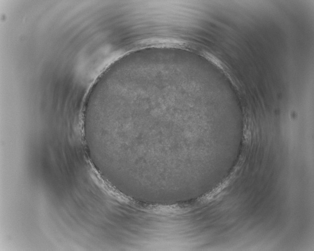 X0000055511074200508262134