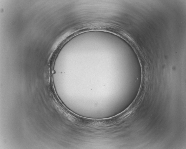 X0000055511075200508262134