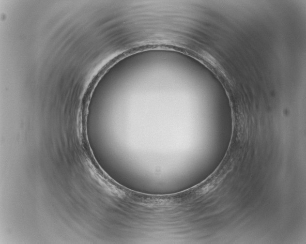 X0000055511076200508262134