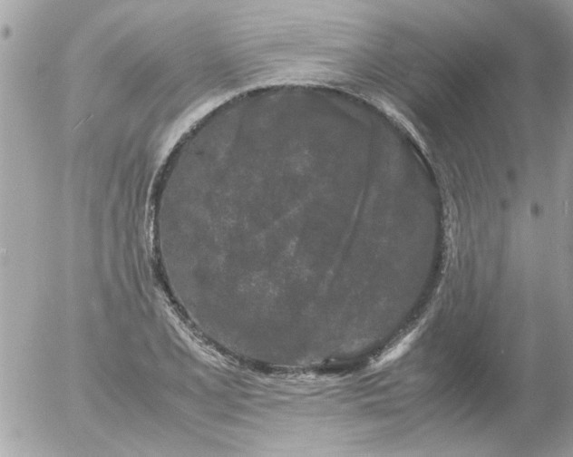 X0000055511077200508262134