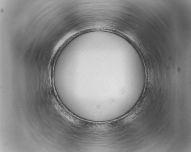 X0000055511078200508262134