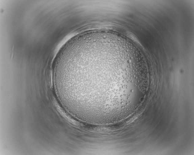 X0000055511079200508262134