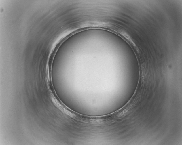 X0000055511080200508262134