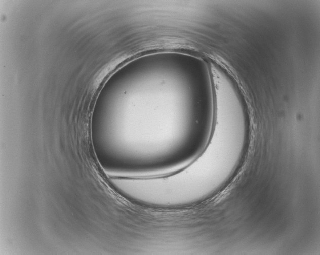 X0000055511081200508262134