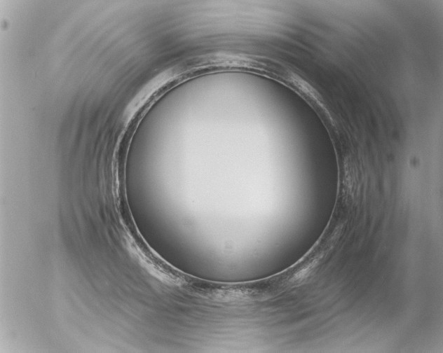 X0000055511082200508262134