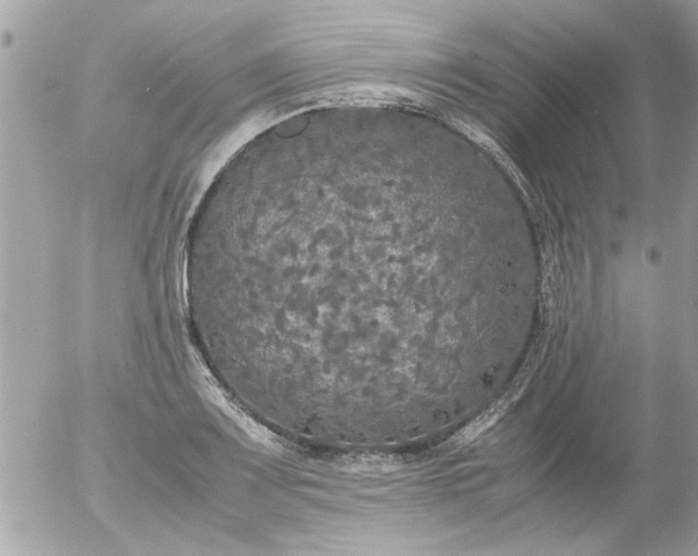 X0000055511083200508262134