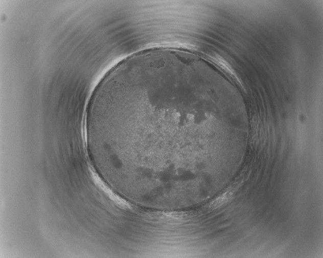 X0000055511084200508262134