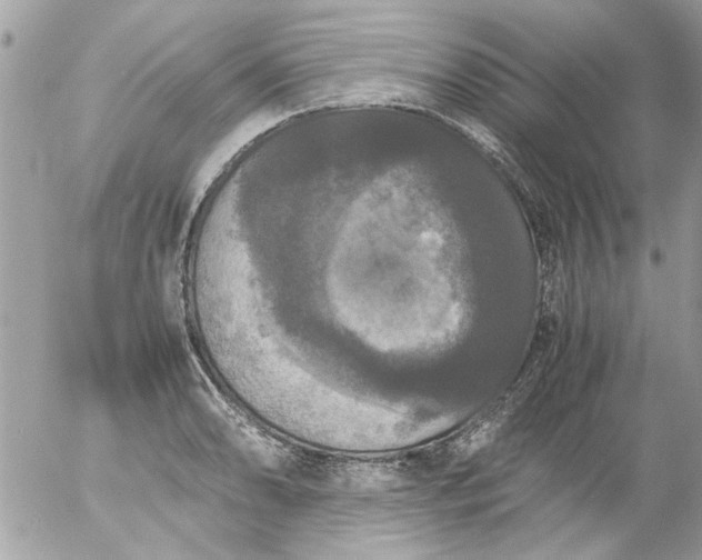 X0000055511086200508262134