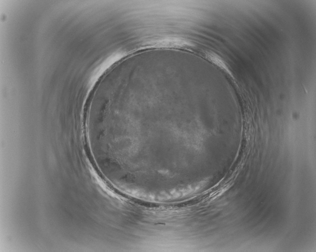 X0000055511087200508262134