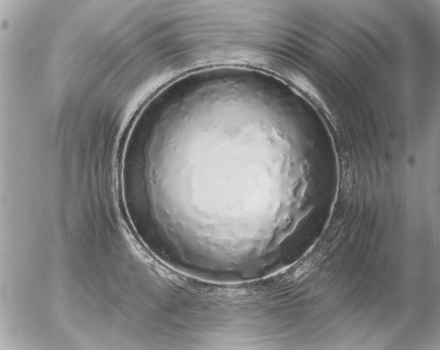 X0000055511088200508262134