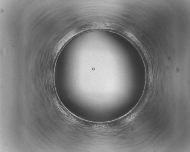 X0000055511089200508262134