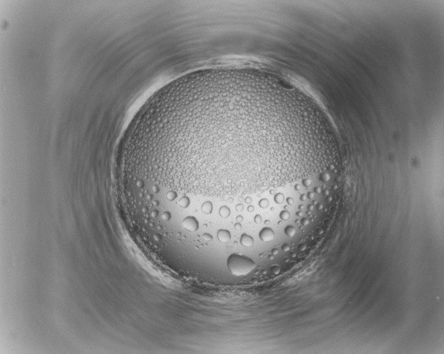 X0000055511091200508262134