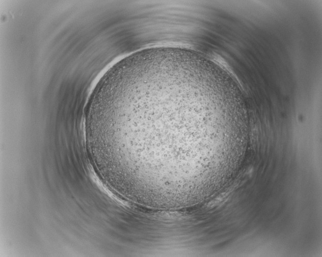 X0000055511092200508262134