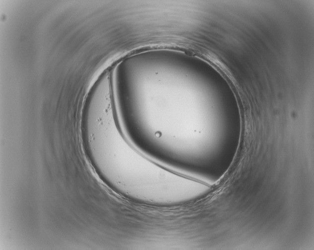 X0000055511093200508262134